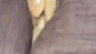 The Orange Cat version of freestyle sleeping