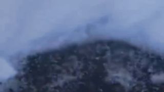 discovery of strange creatures under the ice of Antarctica