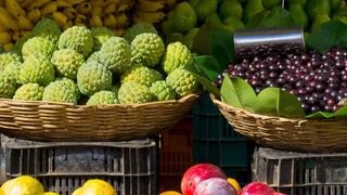 Love Fruit to Slim Down, Ama la fruta para adelgazar