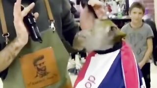 Funny Monkey Viral Video 103