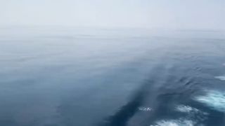 Deep blue Sea