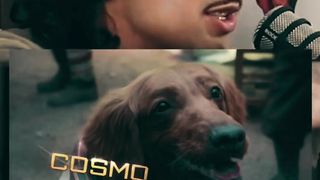 ???? Unleash the canine conspiracy! ???????? Dive into this mind-blowing theory: