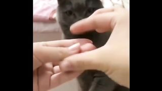 Harus mikir dulu yah cing biar menang hahaha
