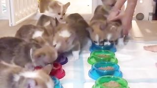 Приколи 634