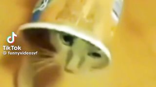 Приколи 635