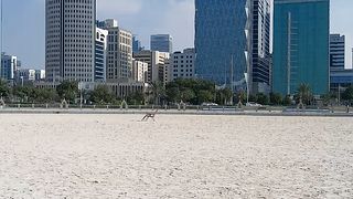 Abudhabi corniche beach near tower