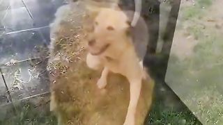 Приколи 636