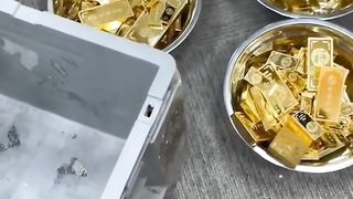 The Golden Official
