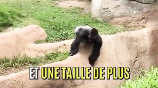 Une Force Effroyable ????????.