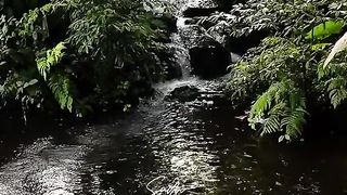 SOUND OF NATURE