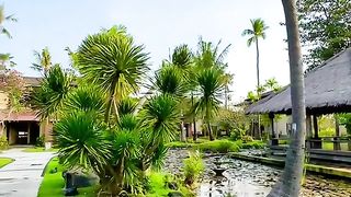 the beauty of Bali (indonesia)