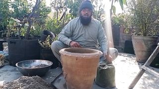 ہم نے پھل کے لیے کون کون سے پودے کی تیاری شروع کی