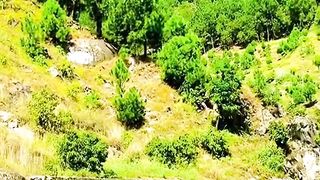 Beautiful Mountain Green View What a View