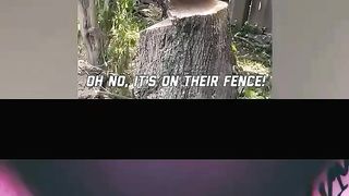 Ridiculous Incident vol 123