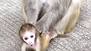 Can't Play With Mom