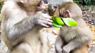 don't want to share oranges with the little ones????????