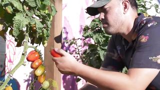 Side Hustle Turned $7.3M_Year Business_