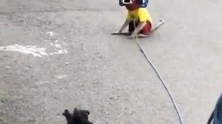 funny behavior of big monkeys
