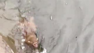 good at swimming