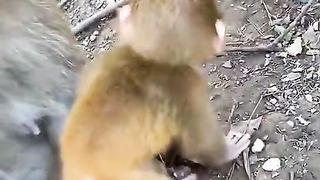 he could not be touched, his mother immediately attacked