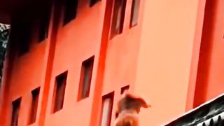 monkeys are very clever at walking
