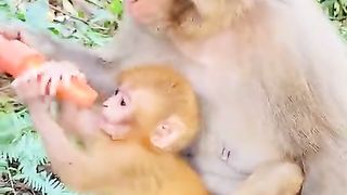 mother is eating carrots