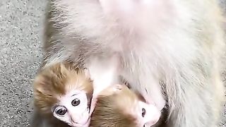 Mother is very tough to breastfeed her two children