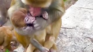 mother takes food from her child's mouth