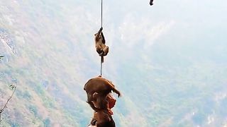 not afraid of heights????
