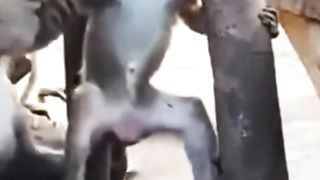 poor child was bitten on the hand by its mother