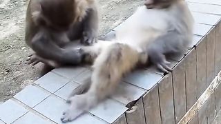relaxed for a moment