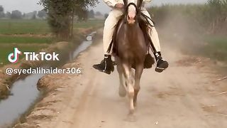 Horse riding 11