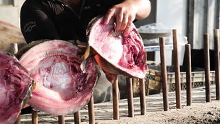 Amazing Iraqi Style Grilled Fish Around Charcoal and wood Fire _ Erbil-Kurdistan Street Foods