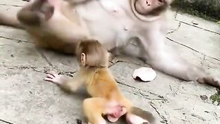 take a joke