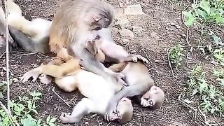 take a nap together
