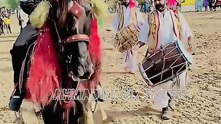 #febspot#foryou #foryoupage#horses#ridings#vedio59#ahmad#nasir#sports