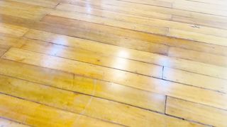 new dance 5