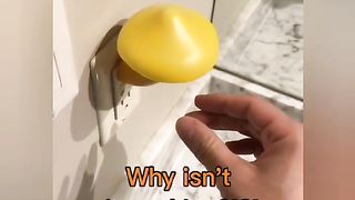 Mushroom 4