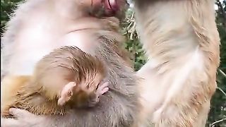 very clever looking for mother fleas????????
