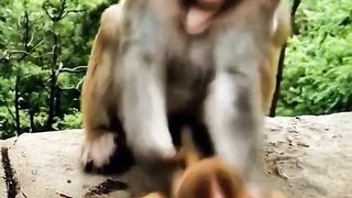 what a mother does to her child