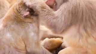 what they do