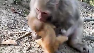 why do mothers bite their children