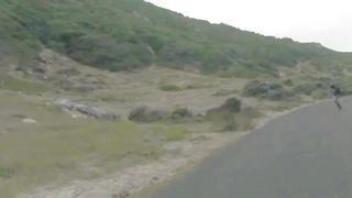 Amazing Video 2023