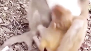 why hate the mother
