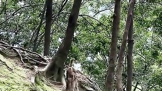 Why is this monkey walking with hands
