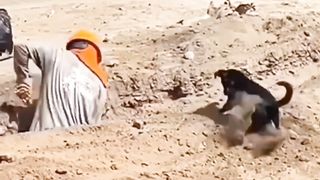 Funny memes 115