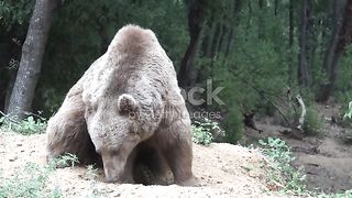 Мир 98