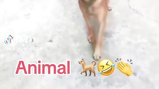 Funnyshort 6