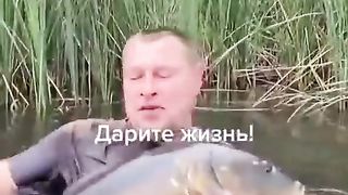 Мир 115