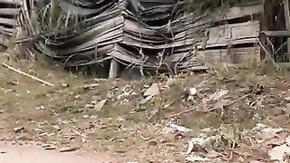 Funny video
